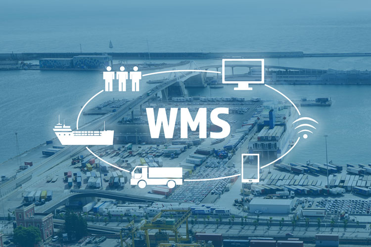 How A Vehicle Management System (VMS) Boosts Operational Efficiency
